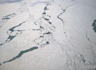 高度1,500フイートからの流氷観測