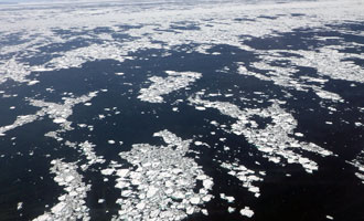 Observing sea ice