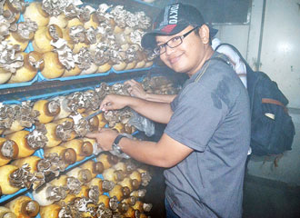 Mushroom farm tour